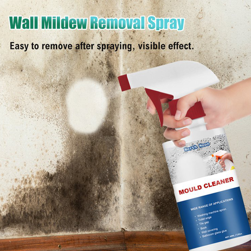 Mold Cleaning Spray